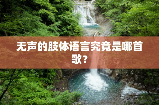 无声的肢体语言究竟是哪首歌？