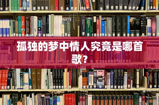 孤独的梦中情人究竟是哪首歌？