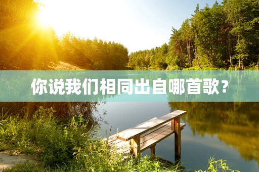 你说我们相同出自哪首歌？