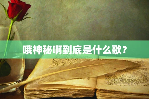 哦神秘啊到底是什么歌？
