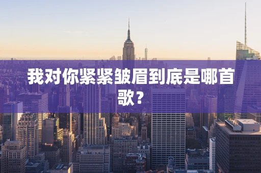 我对你紧紧皱眉到底是哪首歌？
