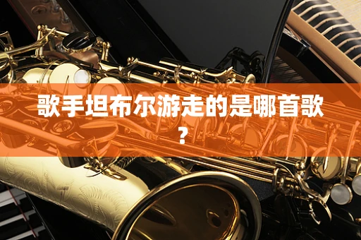 歌手坦布尔游走的是哪首歌？