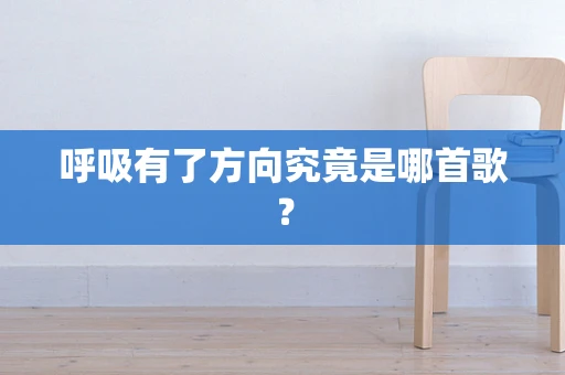 呼吸有了方向究竟是哪首歌？