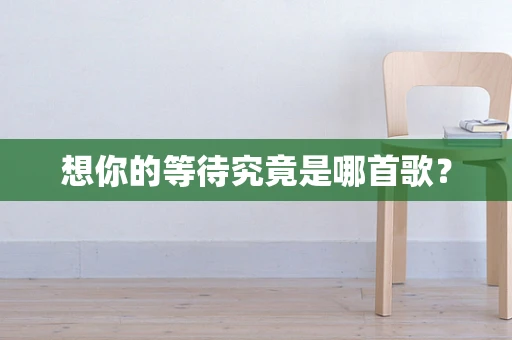 想你的等待究竟是哪首歌？