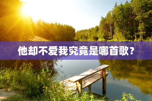 他却不爱我究竟是哪首歌？