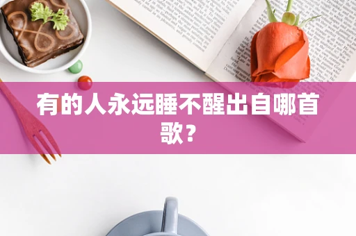 有的人永远睡不醒出自哪首歌？
