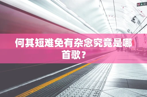 何其短难免有杂念究竟是哪首歌？