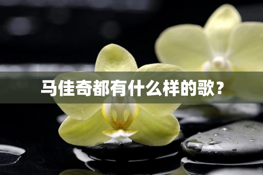 马佳奇都有什么样的歌？