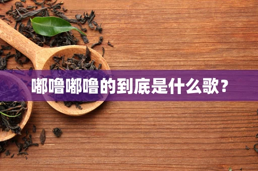 嘟噜嘟噜的到底是什么歌？