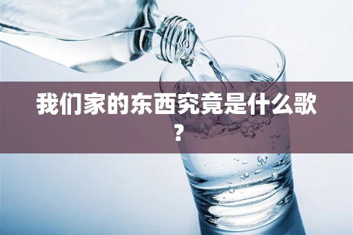 我们家的东西究竟是什么歌？