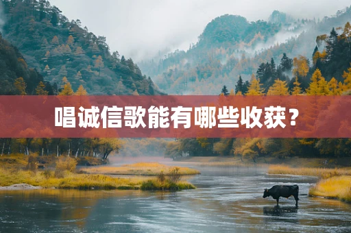 唱诚信歌能有哪些收获？