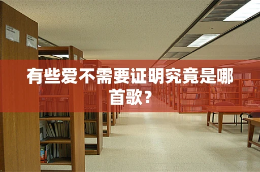 有些爱不需要证明究竟是哪首歌？