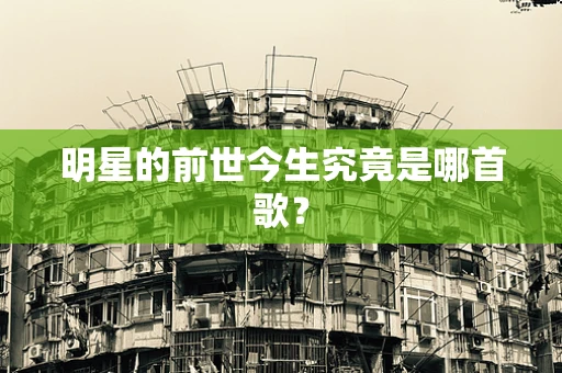 明星的前世今生究竟是哪首歌？