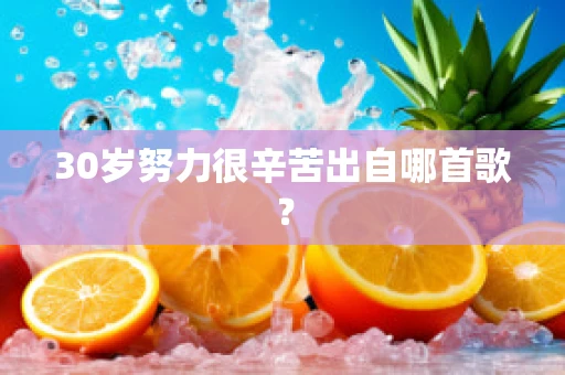 30岁努力很辛苦出自哪首歌？