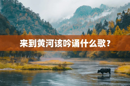 来到黄河该吟诵什么歌？