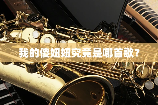 我的傻妞妞究竟是哪首歌？