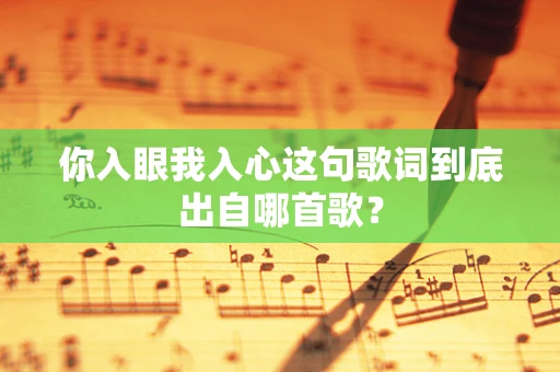 你入眼我入心这句歌词到底出自哪首歌？