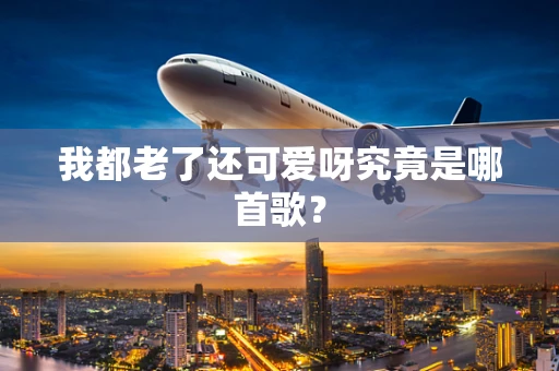 我都老了还可爱呀究竟是哪首歌？