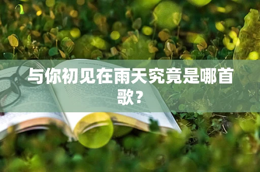 与你初见在雨天究竟是哪首歌？