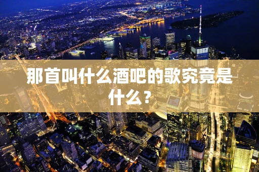 那首叫什么酒吧的歌究竟是什么？