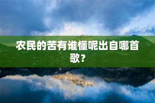 农民的苦有谁懂呢出自哪首歌？