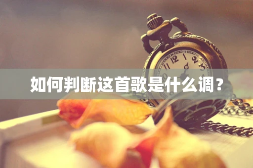 如何判断这首歌是什么调？
