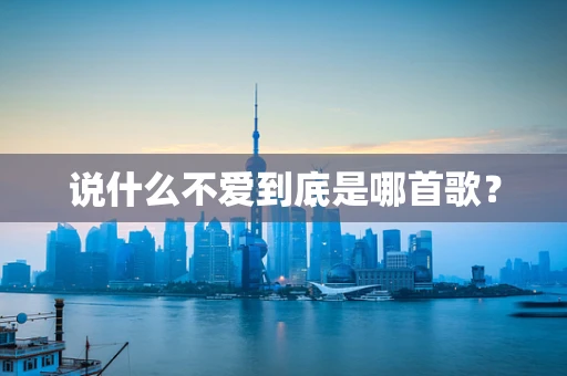 说什么不爱到底是哪首歌？
