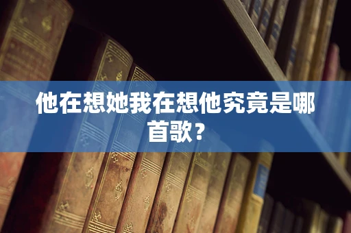 他在想她我在想他究竟是哪首歌？
