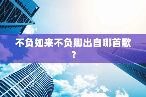 不负如来不负卿出自哪首歌？