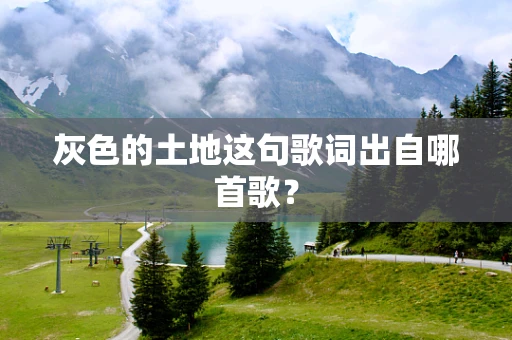灰色的土地这句歌词出自哪首歌？