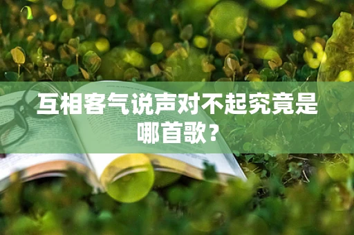 互相客气说声对不起究竟是哪首歌？