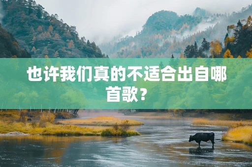 也许我们真的不适合出自哪首歌？