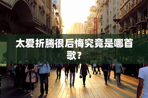 太爱折腾很后悔究竟是哪首歌？