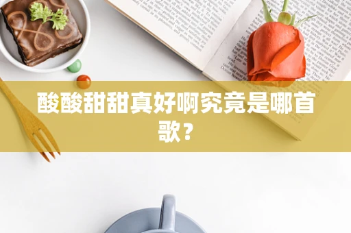 酸酸甜甜真好啊究竟是哪首歌？