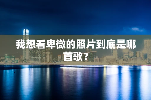 我想看卑微的照片到底是哪首歌？