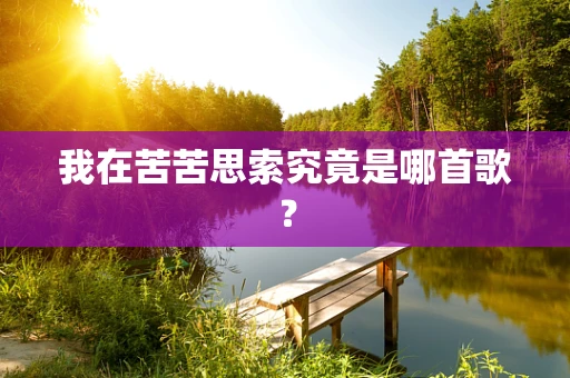 我在苦苦思索究竟是哪首歌？
