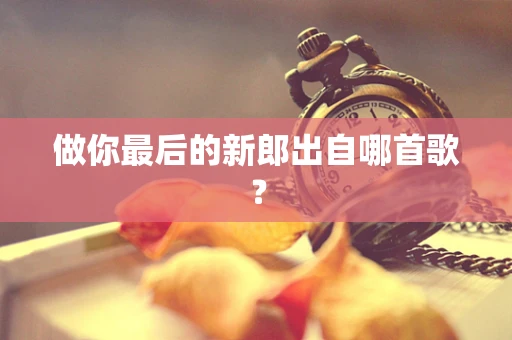 做你最后的新郎出自哪首歌？