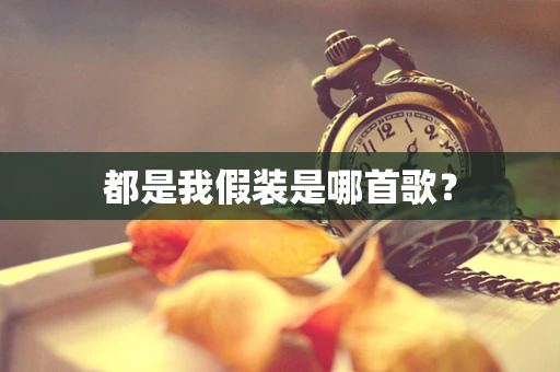 都是我假装是哪首歌？
