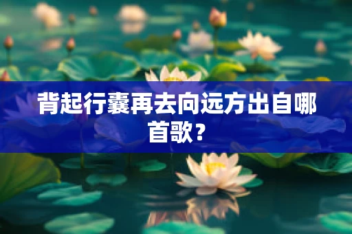 背起行囊再去向远方出自哪首歌？