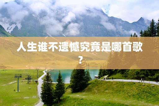 人生谁不遗憾究竟是哪首歌？