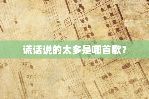 谎话说的太多是哪首歌？