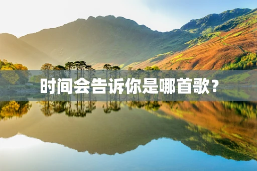 时间会告诉你是哪首歌？