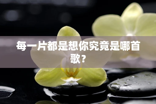 每一片都是想你究竟是哪首歌？