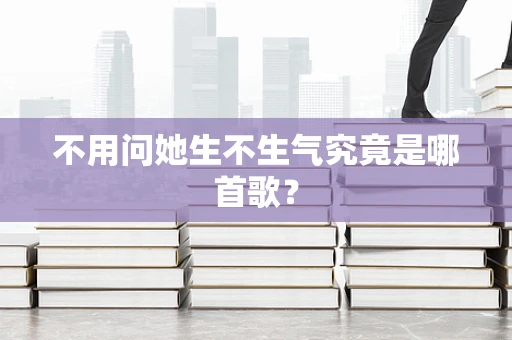 不用问她生不生气究竟是哪首歌？