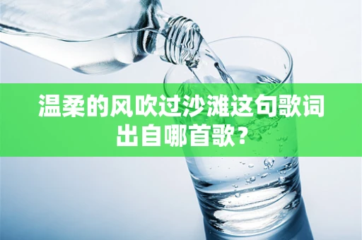 温柔的风吹过沙滩这句歌词出自哪首歌？