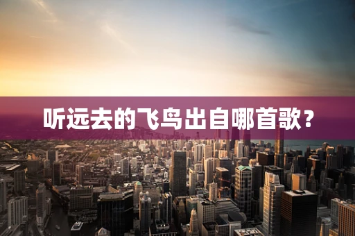 听远去的飞鸟出自哪首歌？