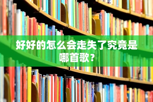 好好的怎么会走失了究竟是哪首歌？