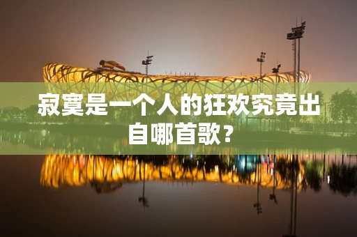 寂寞是一个人的狂欢究竟出自哪首歌？