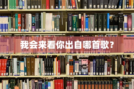 我会来看你出自哪首歌？
