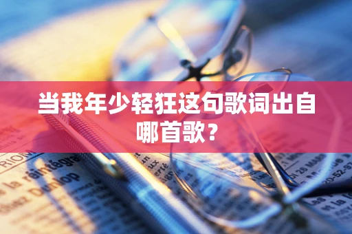 当我年少轻狂这句歌词出自哪首歌？